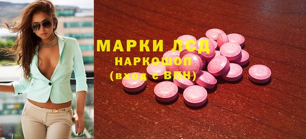 spice Осинники