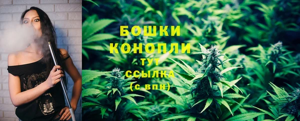 spice Осинники
