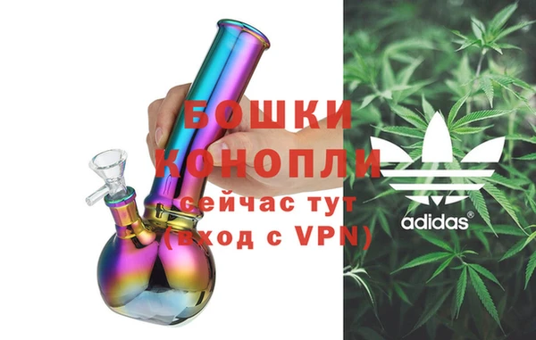 spice Осинники