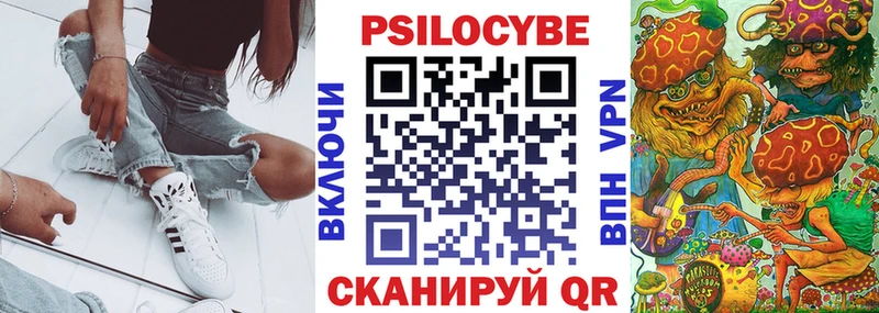 Купить где  Топки  Галлюциногенные грибы Psilocybine cubensis 